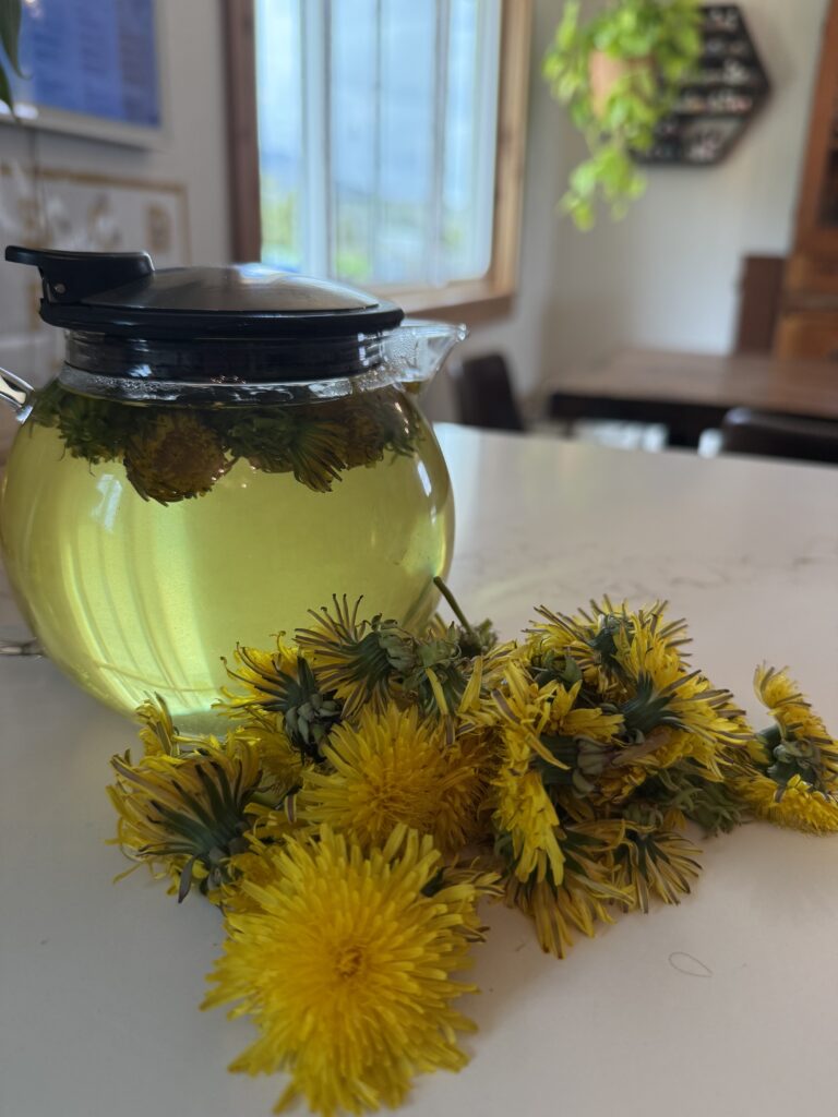 Small pot of loose leaf dandelion tea with fresh cut dandelion flowers next to it.